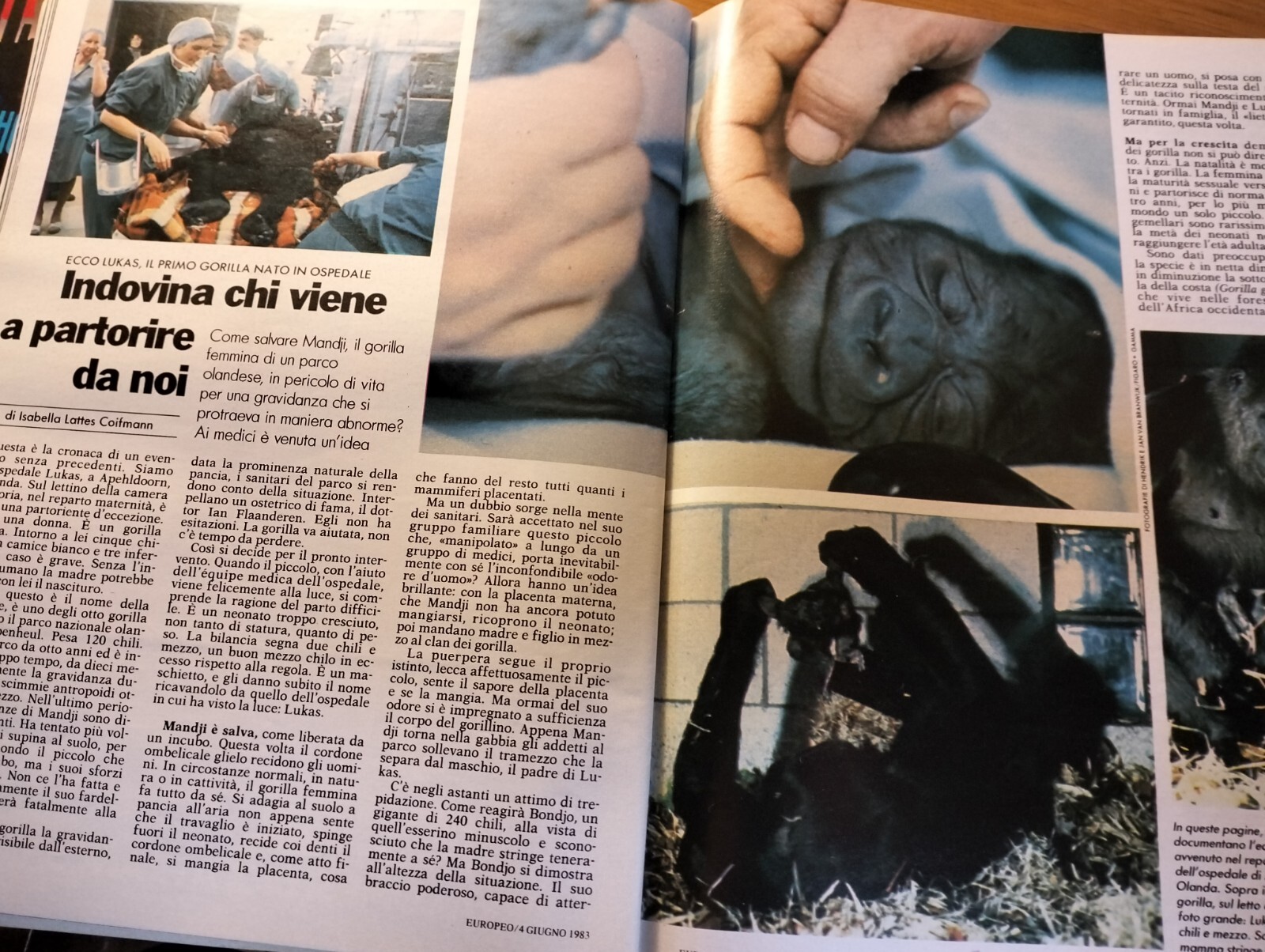 EUROPEAN 1983/23=SAN PATRIGNANO=CASE RIZZOLI=CARLO MASSARINI=GIANNI AGNELLI BUY