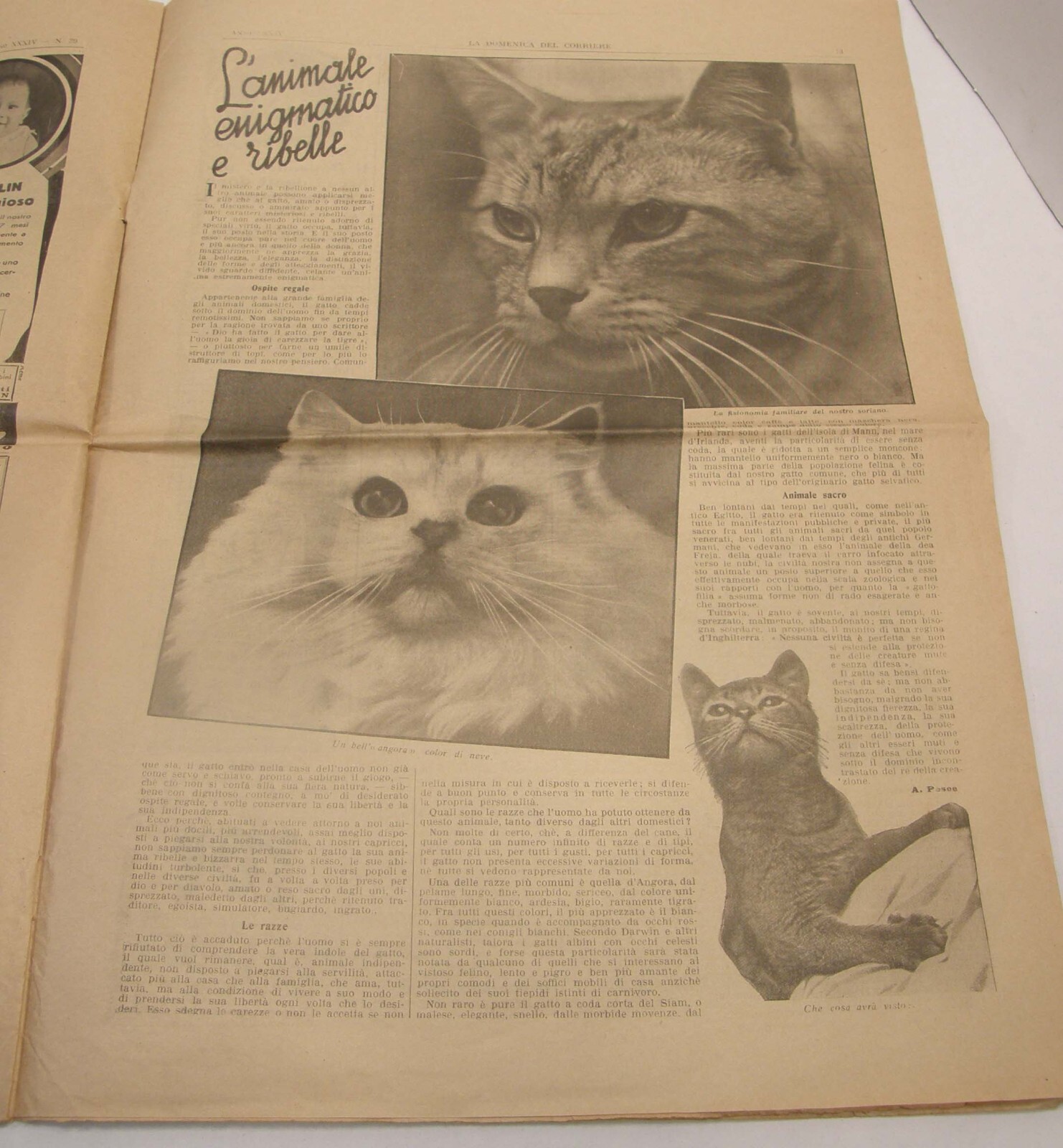 SEPTEMBER 1932 LA DOMENICA DEL CORRIERE ITALIAN NEWSPAPER QUEEN ELENA COVER
