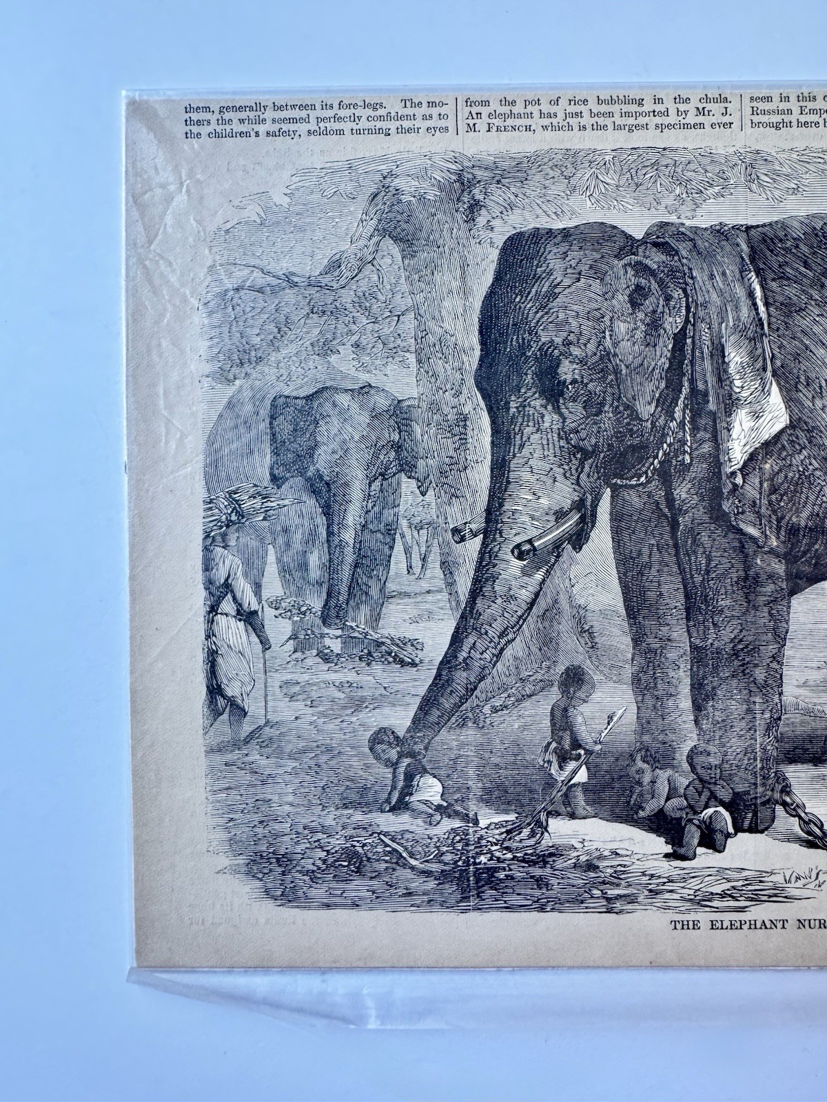 1869 Harper’s Weekly ‘The Elephant Nurse’ Original Antique Engraving Print News