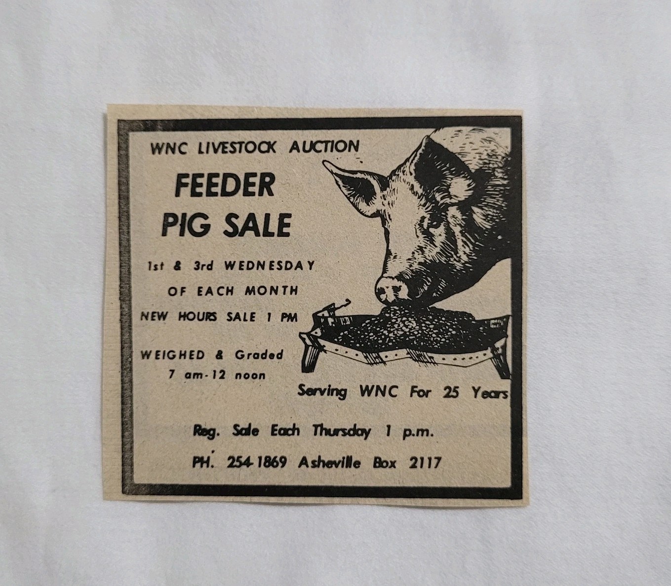 Vintage Western North Carolina Livestock Auction Feeder Pig Sale Newspaper Ad