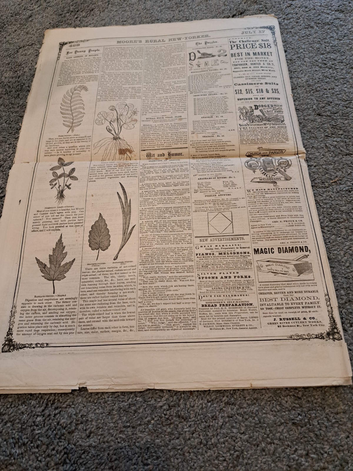 July 17 1869 Moore’s Rural New Yorker Newspaper Agriculture Horticulture