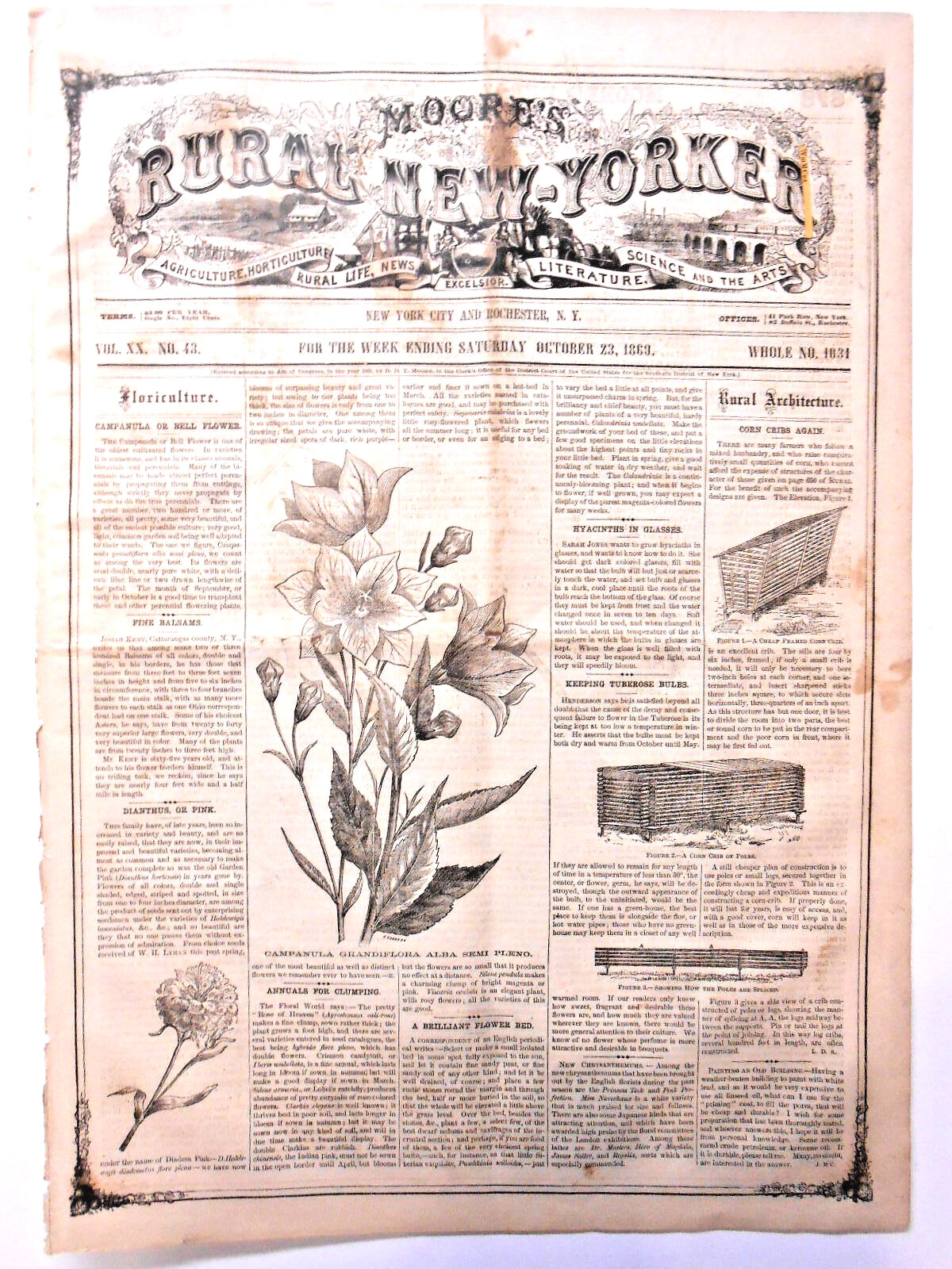Newspaper RARE & Early U.S. Woman’s Female Suffrage VOTE Cartoon 1869