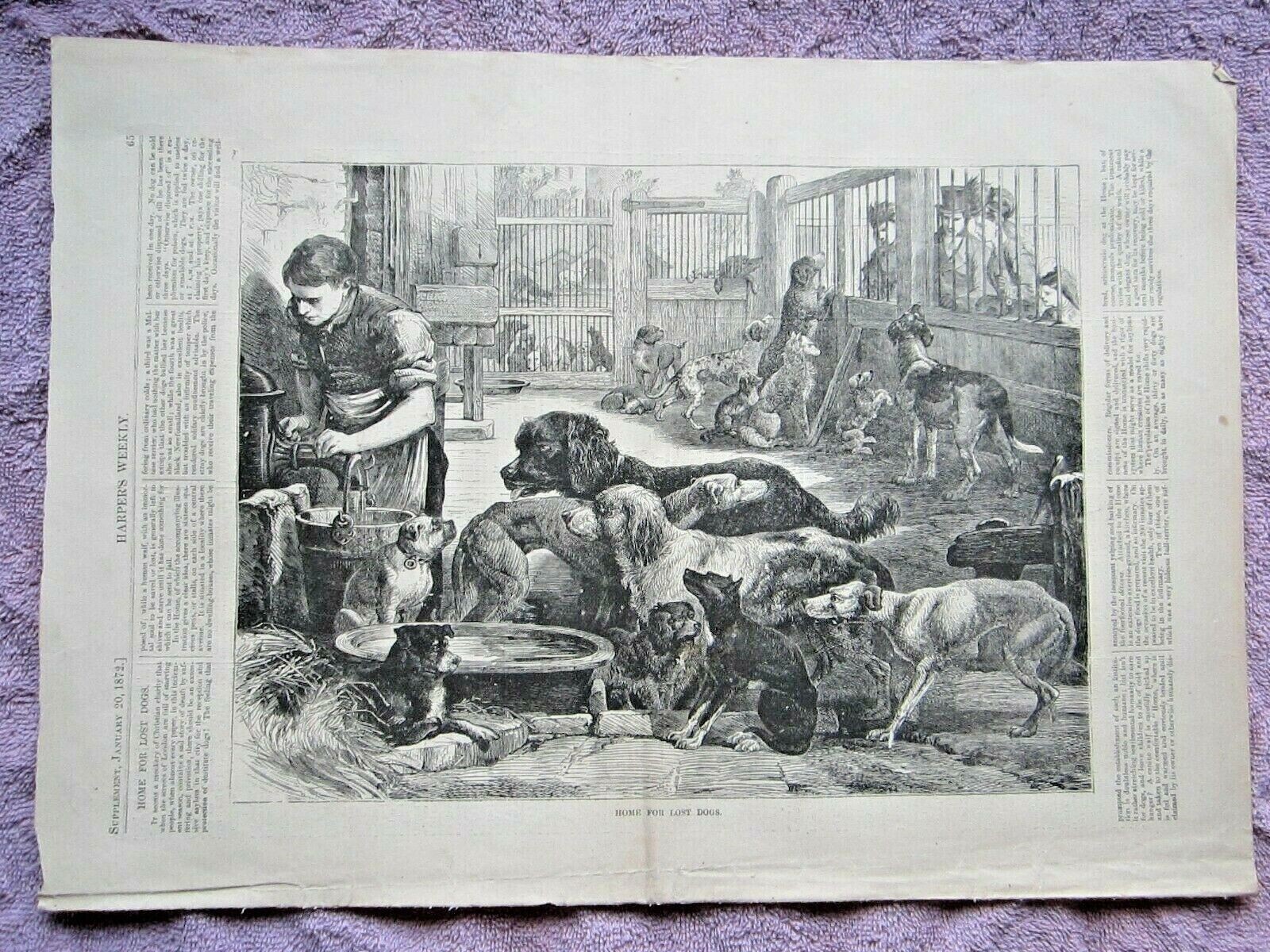 1872 ANTIQUE HARPER’S WEEKLY LOST DOGS HOME PRINT VICTORIAN WOODBLOCK ENGRAVING