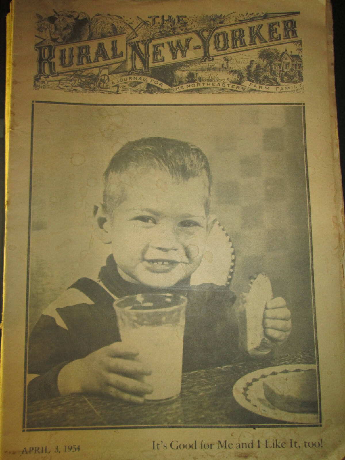 1954 April 3 THE RURAL NEW YORKER It’s Good For Me I Like It farming Newspaper