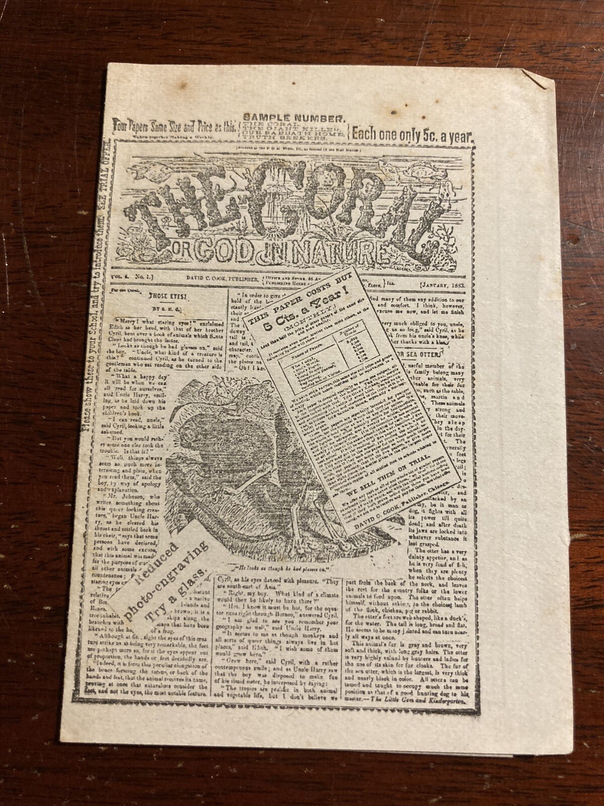 The Coral Or God In Nature Small Sample Number Newspaper Brochure 1800s