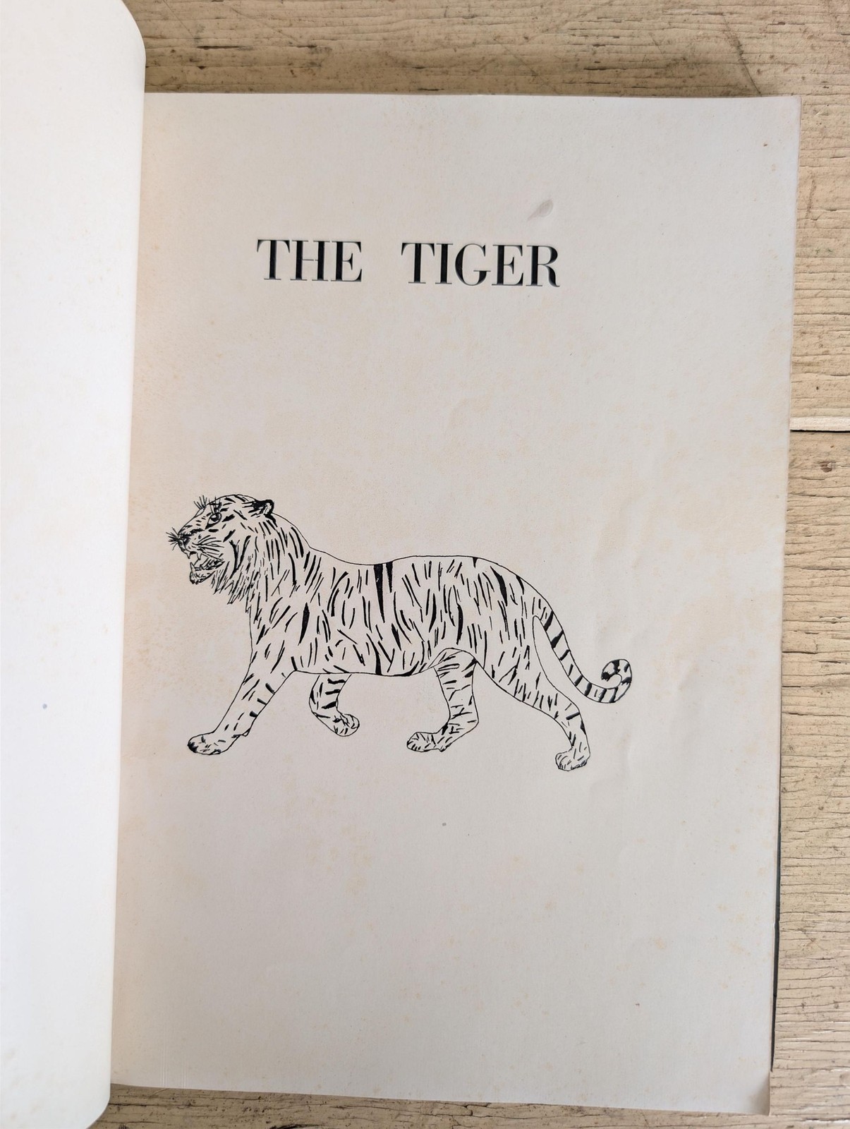 Antique 1926 The Tiger School Yearbook From Dover High School in Dover
