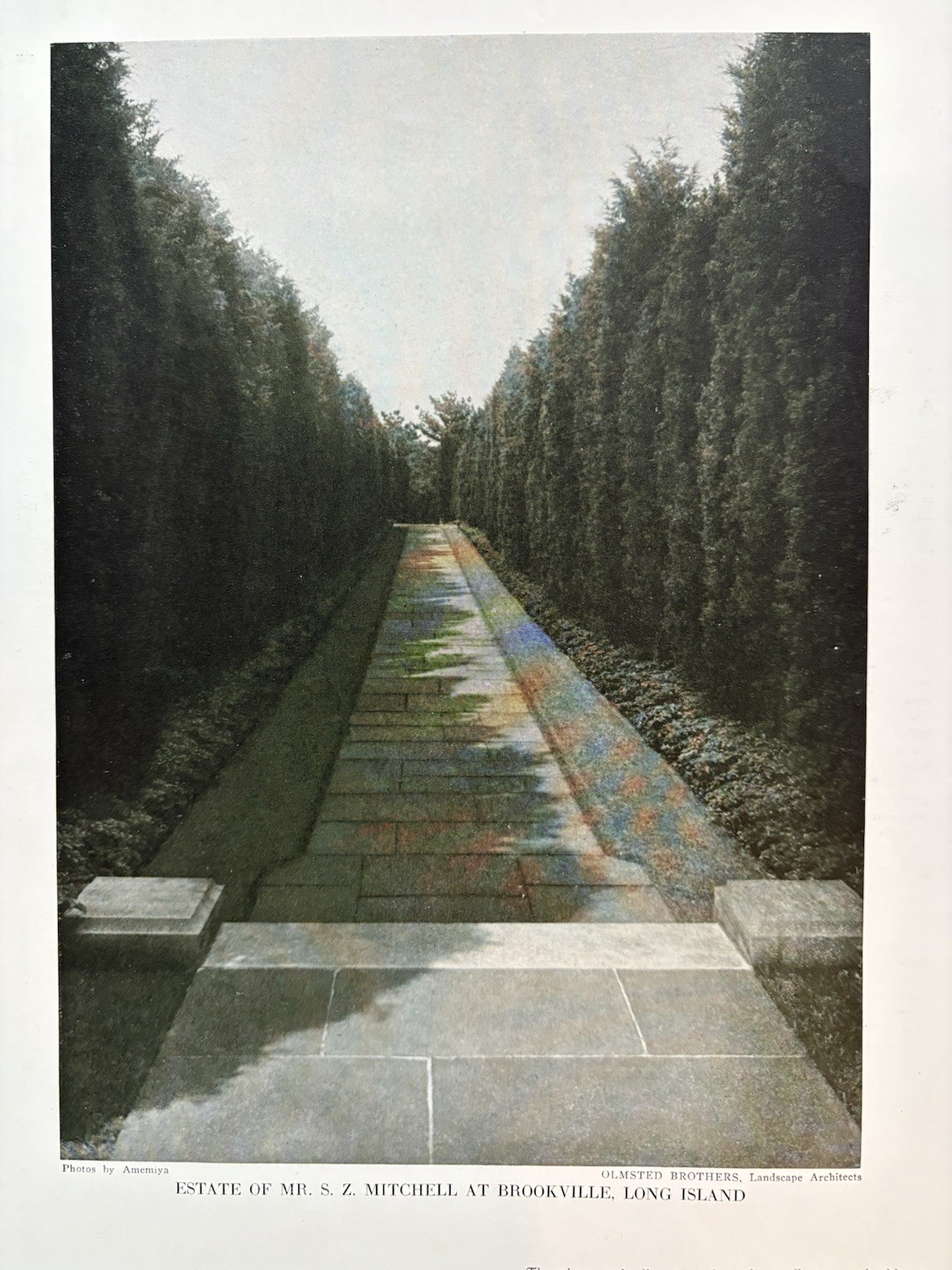 Sidney Mitchell Estate Long Island Olmsted Brothers Landscape Architects 8p 1927