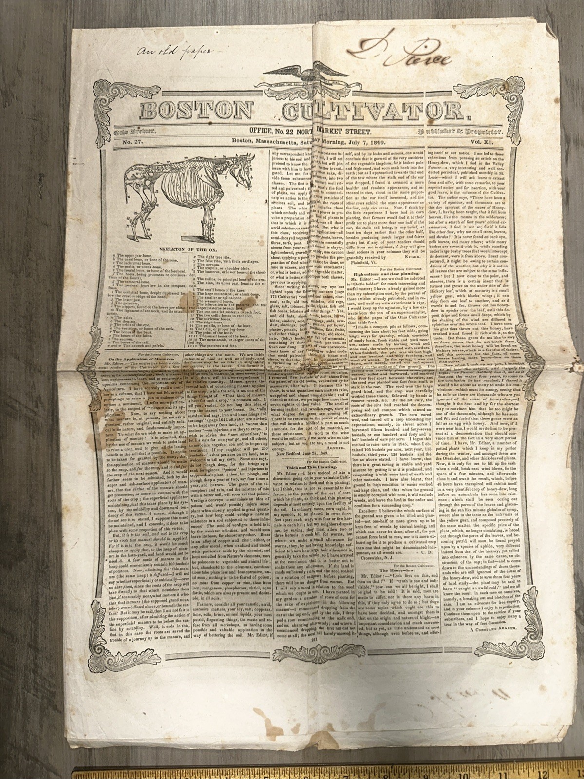 Boston Cultivator Newspaper July 7, 1849!