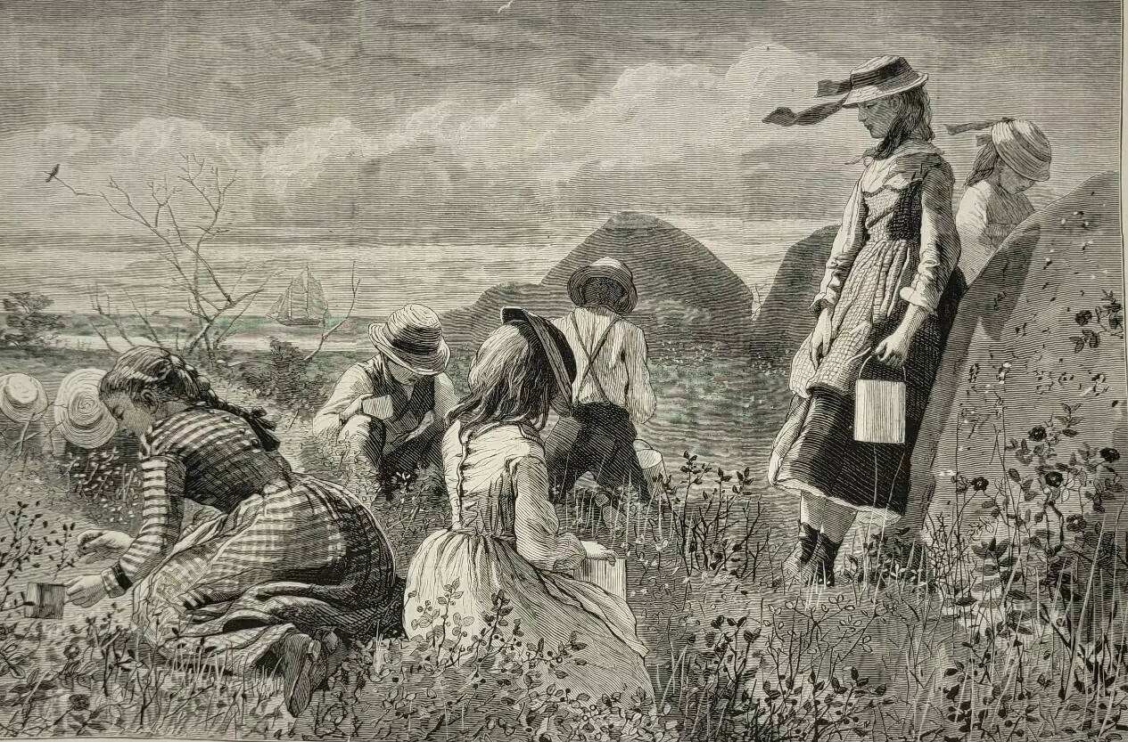 Harper’s Weekly 7/11/1874 Winslow Homer “Gathering Berries” Classic Issue!