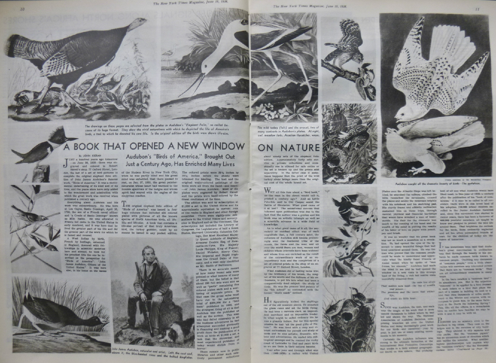 1938 JUNE 19 AUDUBON BIRD’S ANDRE MAUROIS – RUSSIA CROPS NORTH AFRICA NY TIMES