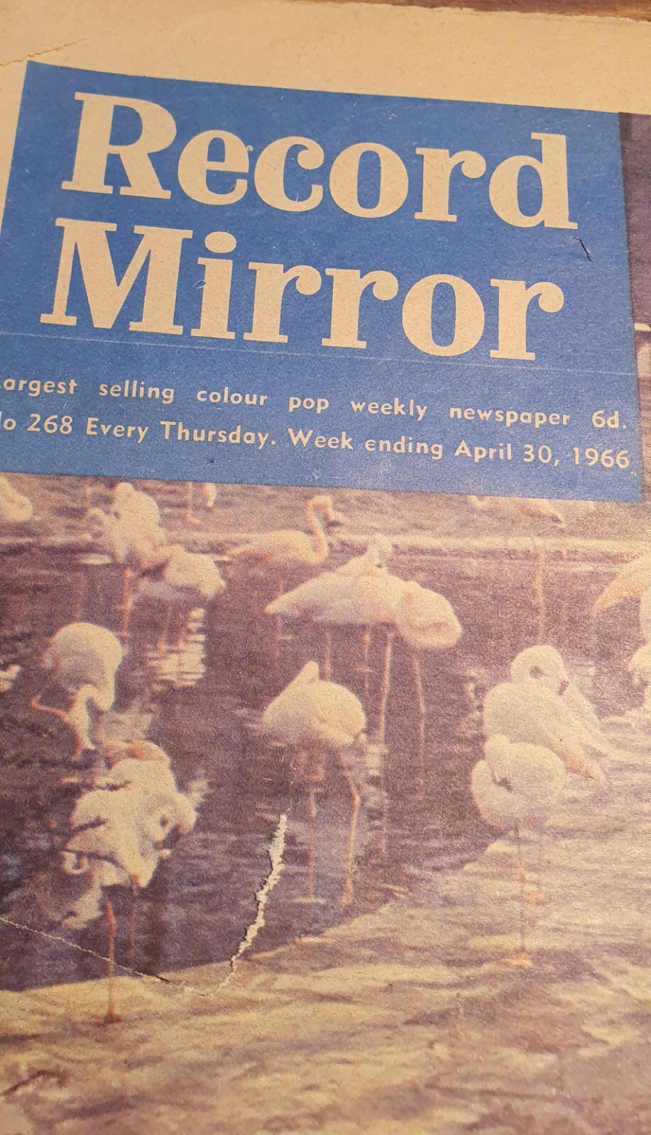 Record Mirror Complete April 30 1966.
