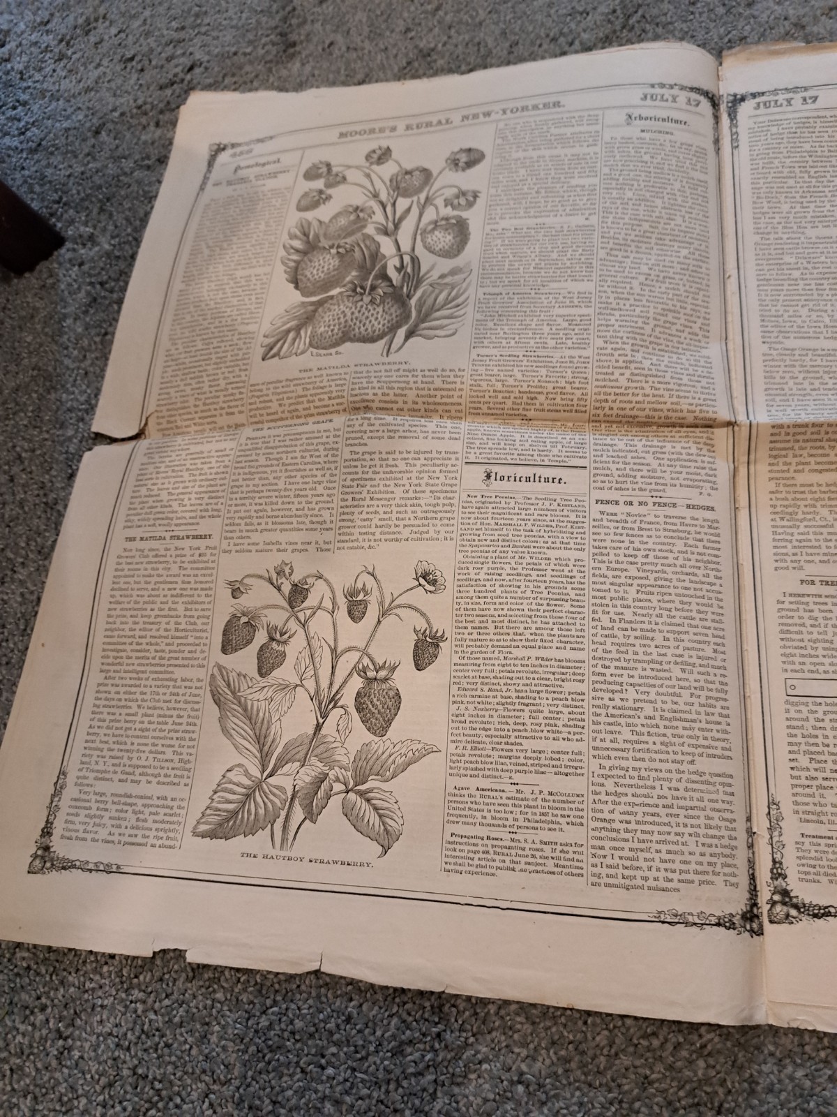July 17 1869 Moore’s Rural New Yorker Newspaper Agriculture Horticulture