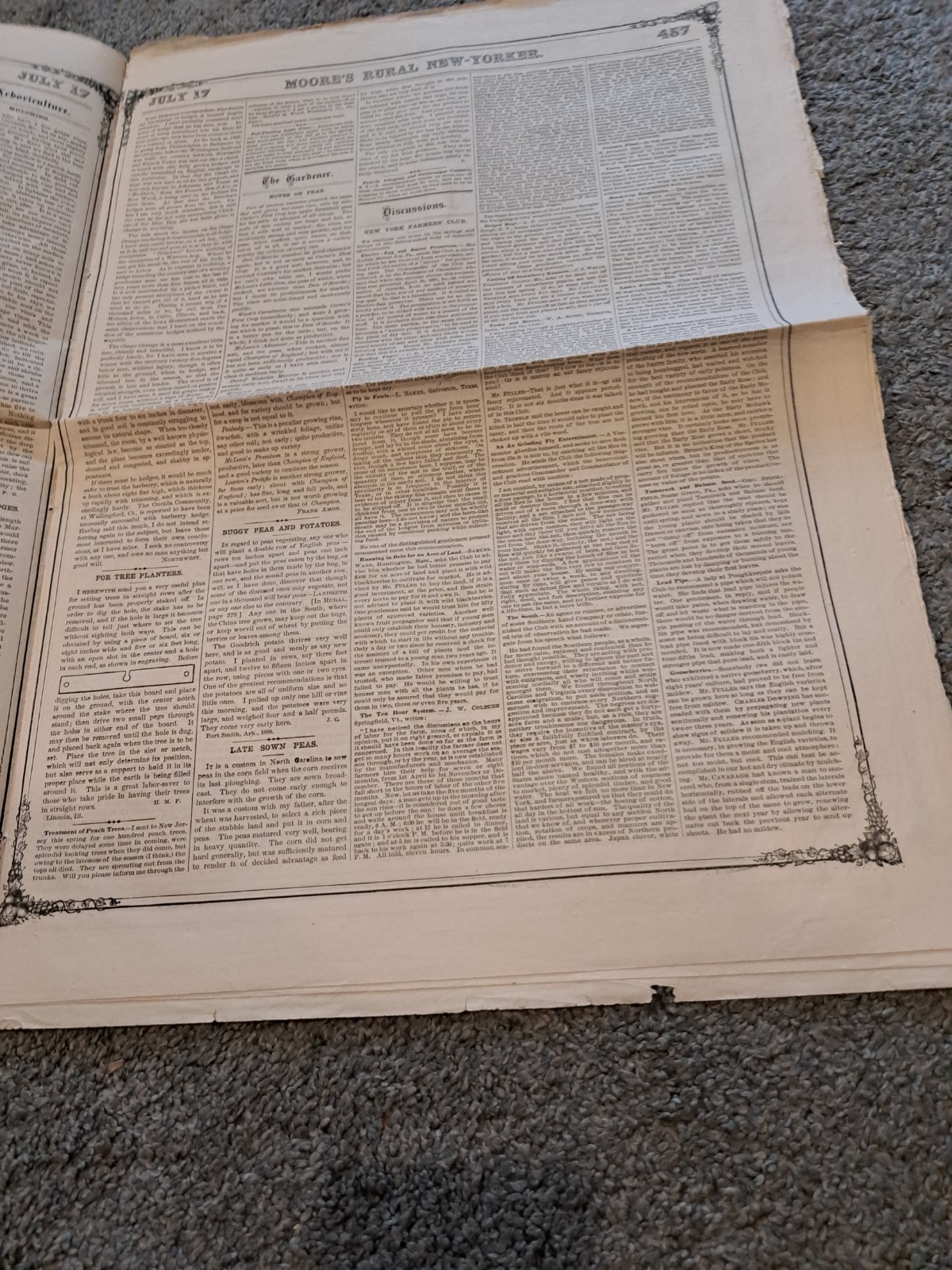 July 17 1869 Moore’s Rural New Yorker Newspaper Agriculture Horticulture
