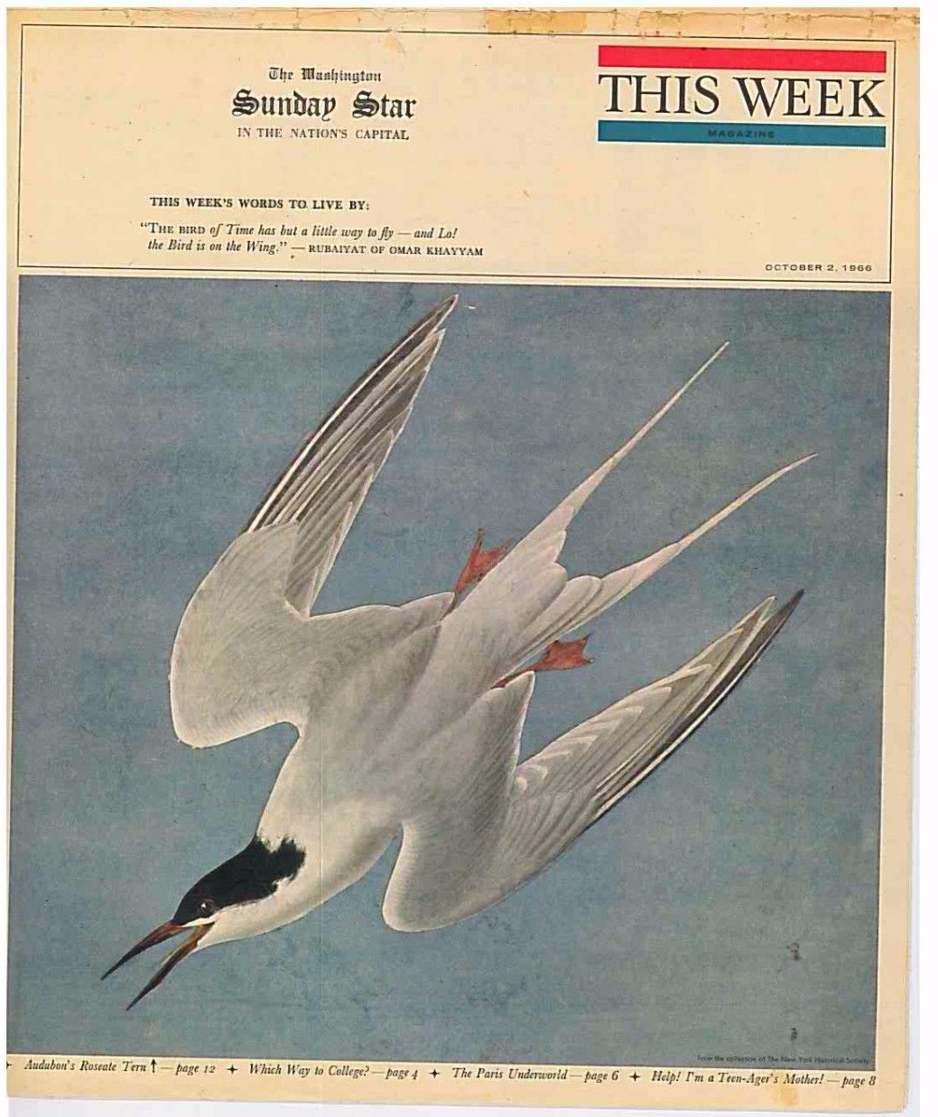 This Week Magazine October 2 1966 67 Dodge Dart, Beatles Yellow Submarine Lyrics