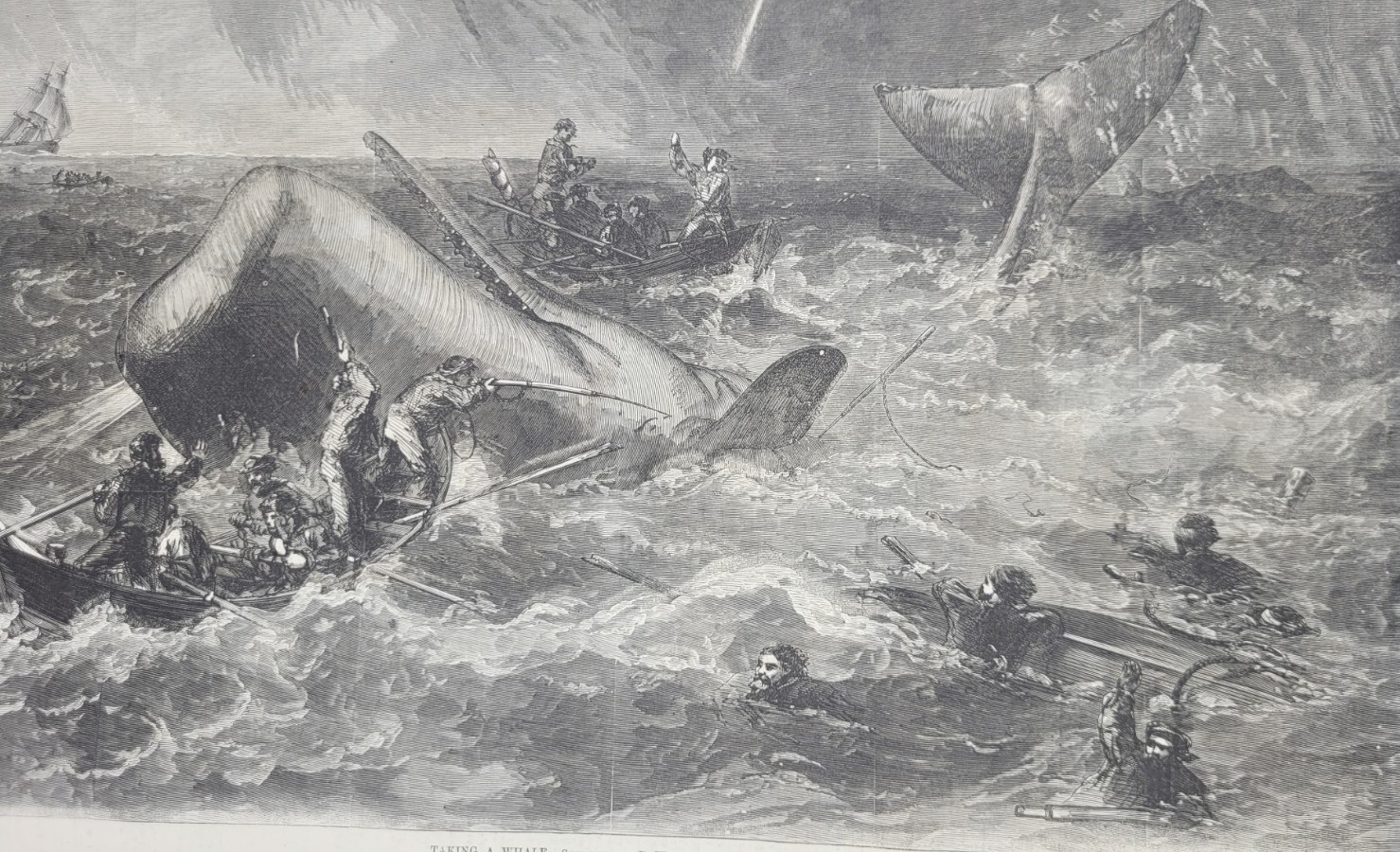 Harper’s Weekly 12/22/1866 dramatic whale hunting print /Phil. Balt. RR bridge