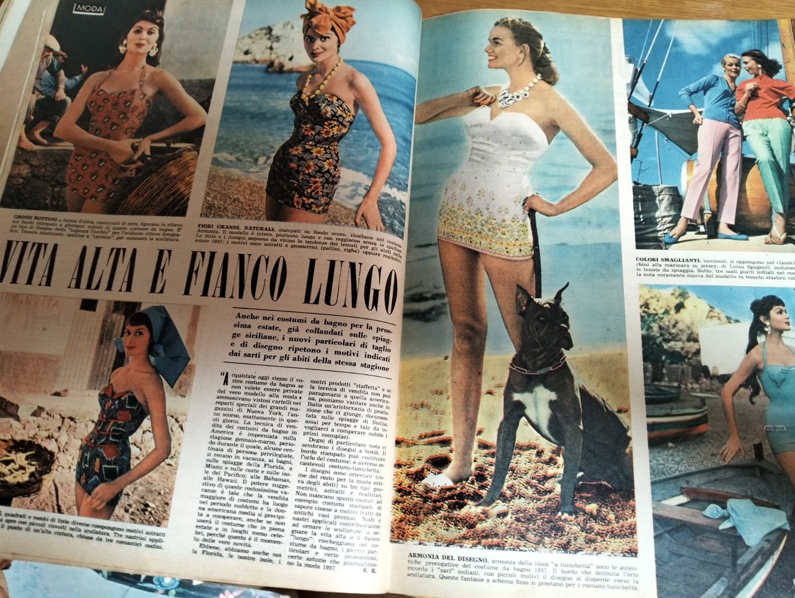 1957/11=ABBE LANE=ZITA RITOSSA MEMORIALE=ZIZI JEANMAIRE=MEMO BENASSI=MONDADORI