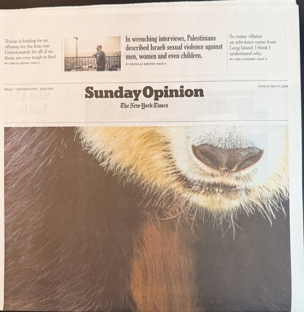 The New York Times Newspaper May 17 2026 SUNDAY Complete Print Paper UNREAD Nyt