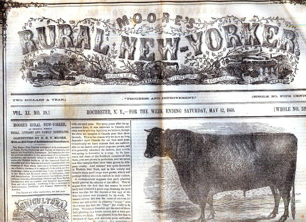 Newspaper Na’tl Convention@Charleston Douglas tops 1st Ballot Utah Mormons 1860