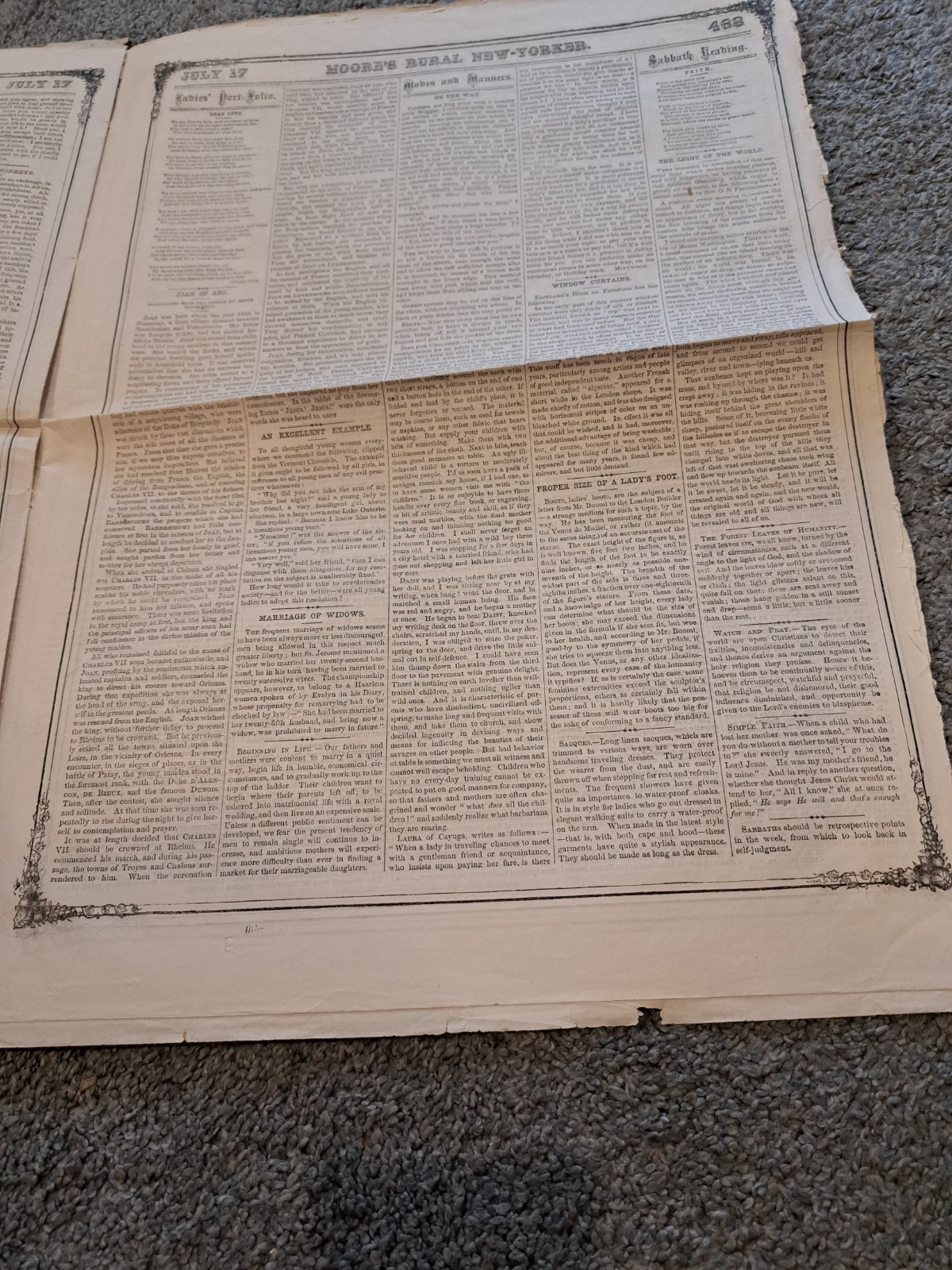 July 17 1869 Moore’s Rural New Yorker Newspaper Agriculture Horticulture