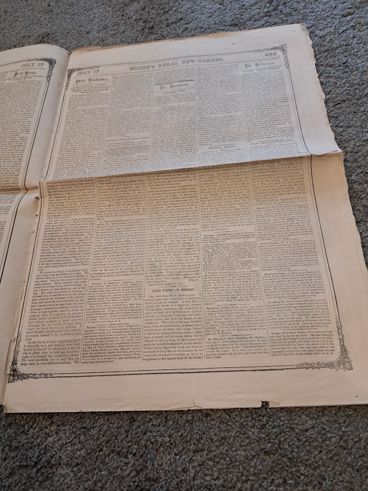 July 17 1869 Moore’s Rural New Yorker Newspaper Agriculture Horticulture