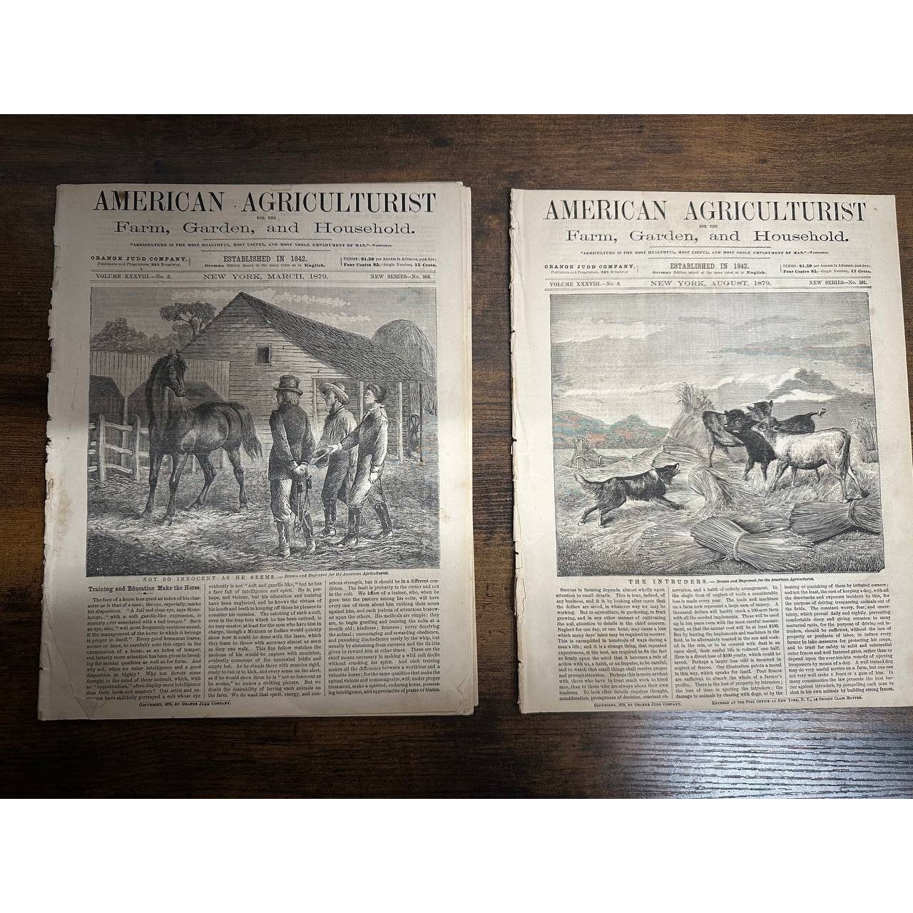 2 Vintage 1879 American Agriculturist Newspapers March August – 017 (112)