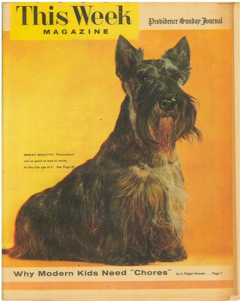This Week Magazine October 2 1955 J Edgar Hoover Mamie van Doren Scotty Dog