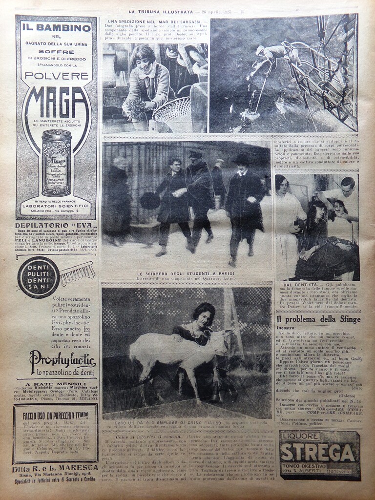 La Tribuna Illustrata 19 April 1925 Duilio Cinofilia Excavations of Utica Canzonette