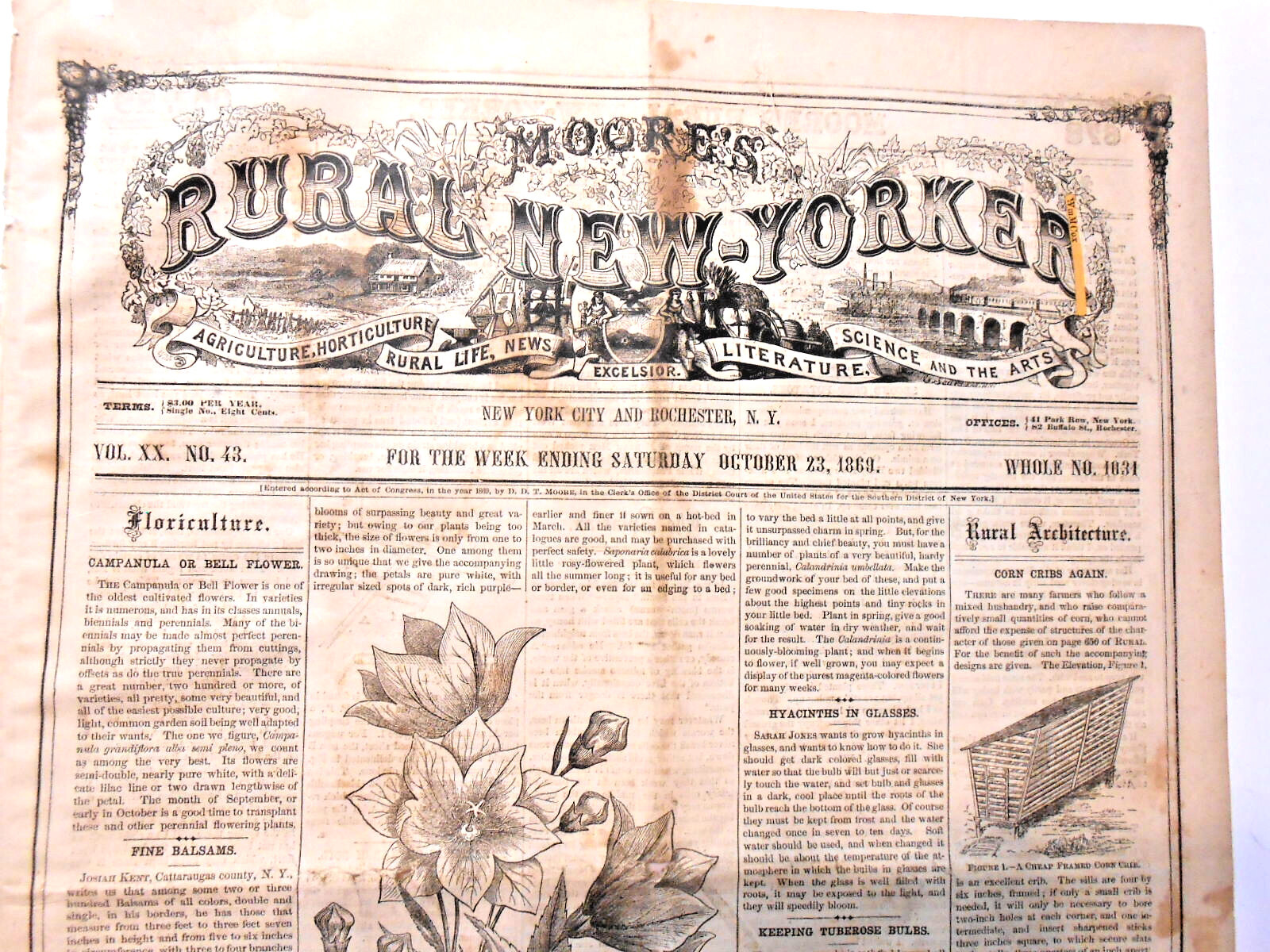 Newspaper RARE & Early U.S. Woman’s Female Suffrage VOTE Cartoon 1869