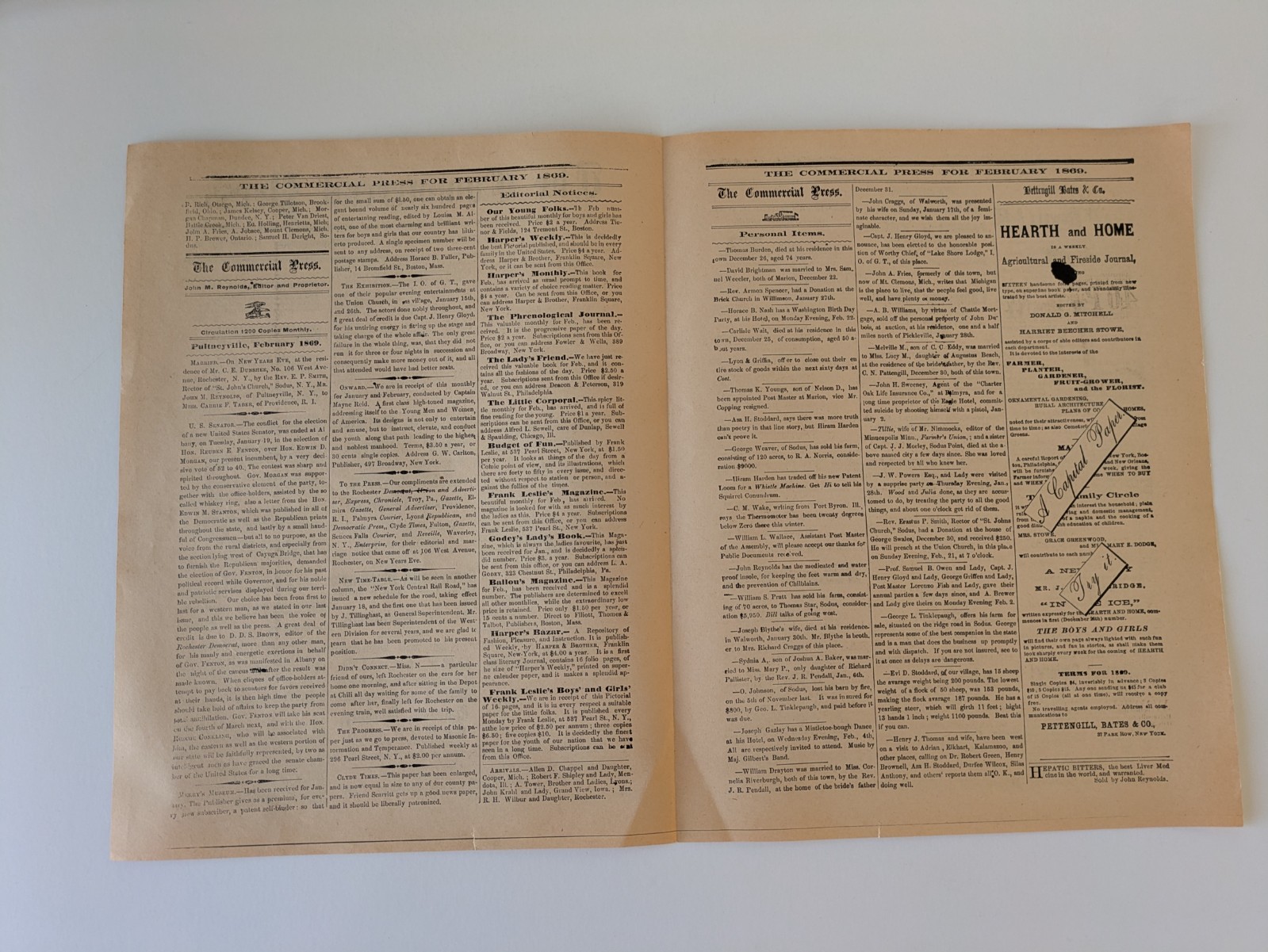 1869 Commercial Press Newspaper REPRINT Pultneyville NY Picker International