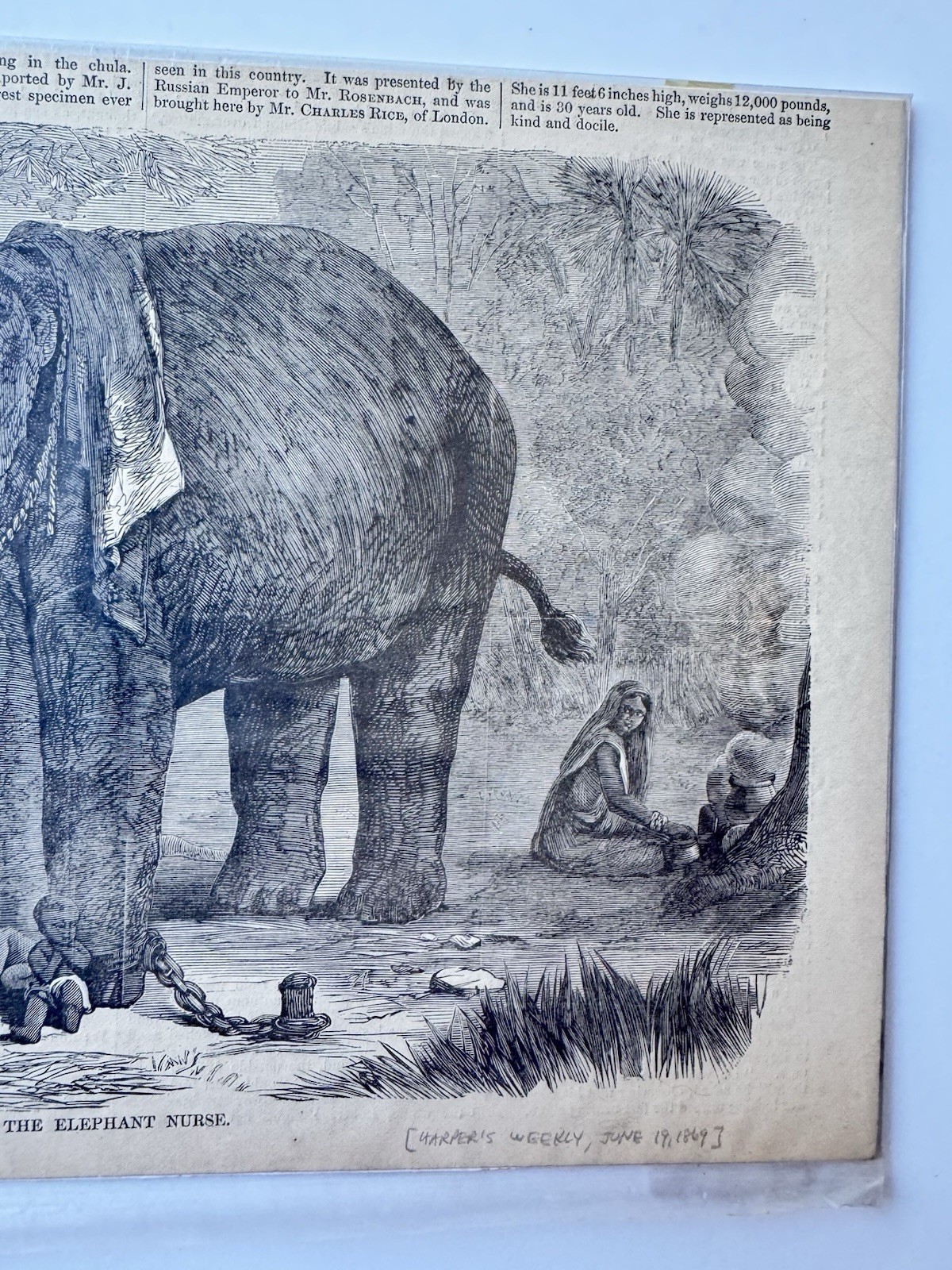 1869 Harper’s Weekly ‘The Elephant Nurse’ Original Antique Engraving Print News