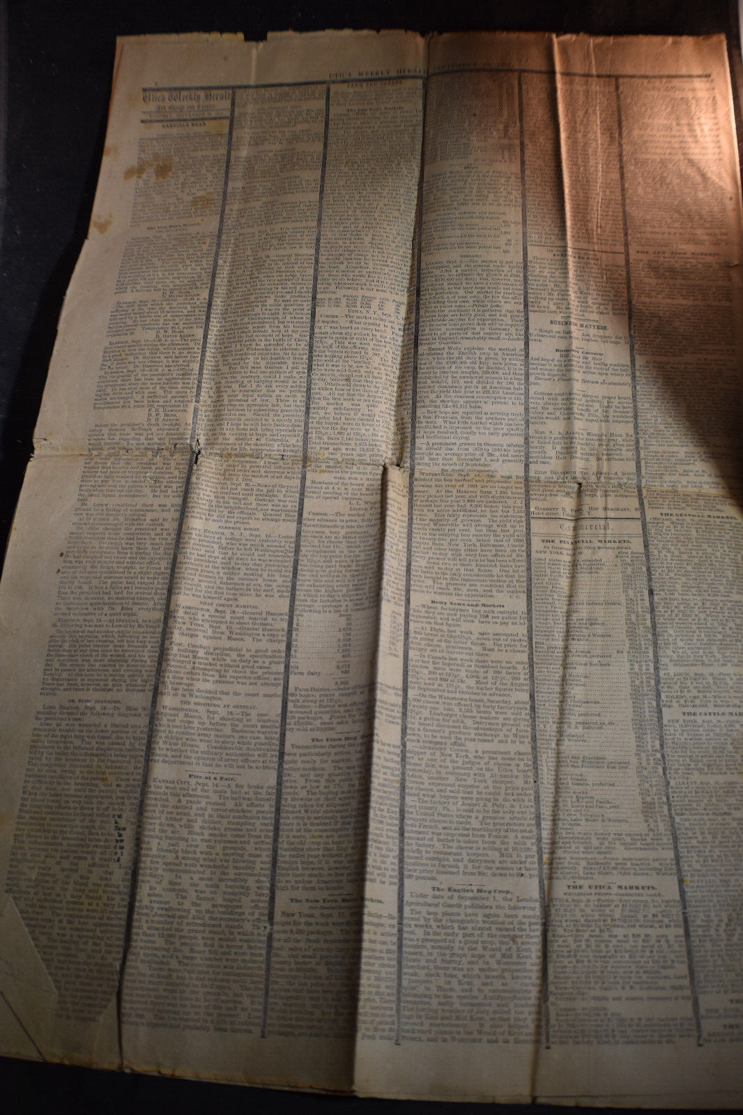 1881 Utica Weekly Herald *PRESIDENT GARFIELD DEAD*