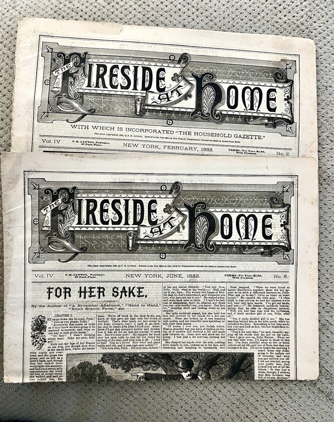 1883~2 FIRESIDE AT HOME Newspapers & “Household Gazette, Inc. 1882~Stories, Ads