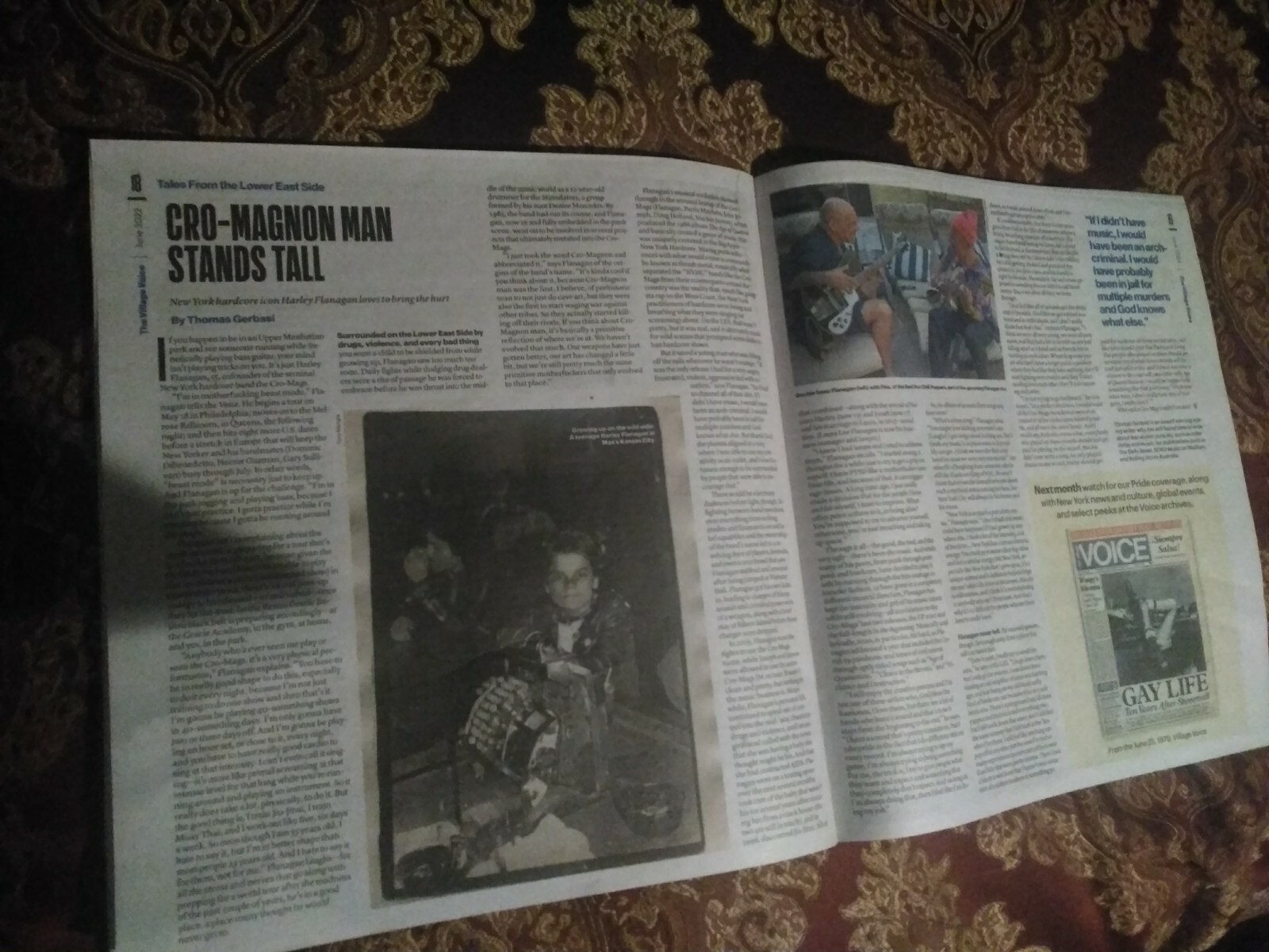 Vladimir Nabakov Pale Fire, The Queens Museum, MLB fans, 2022 Village Voice
