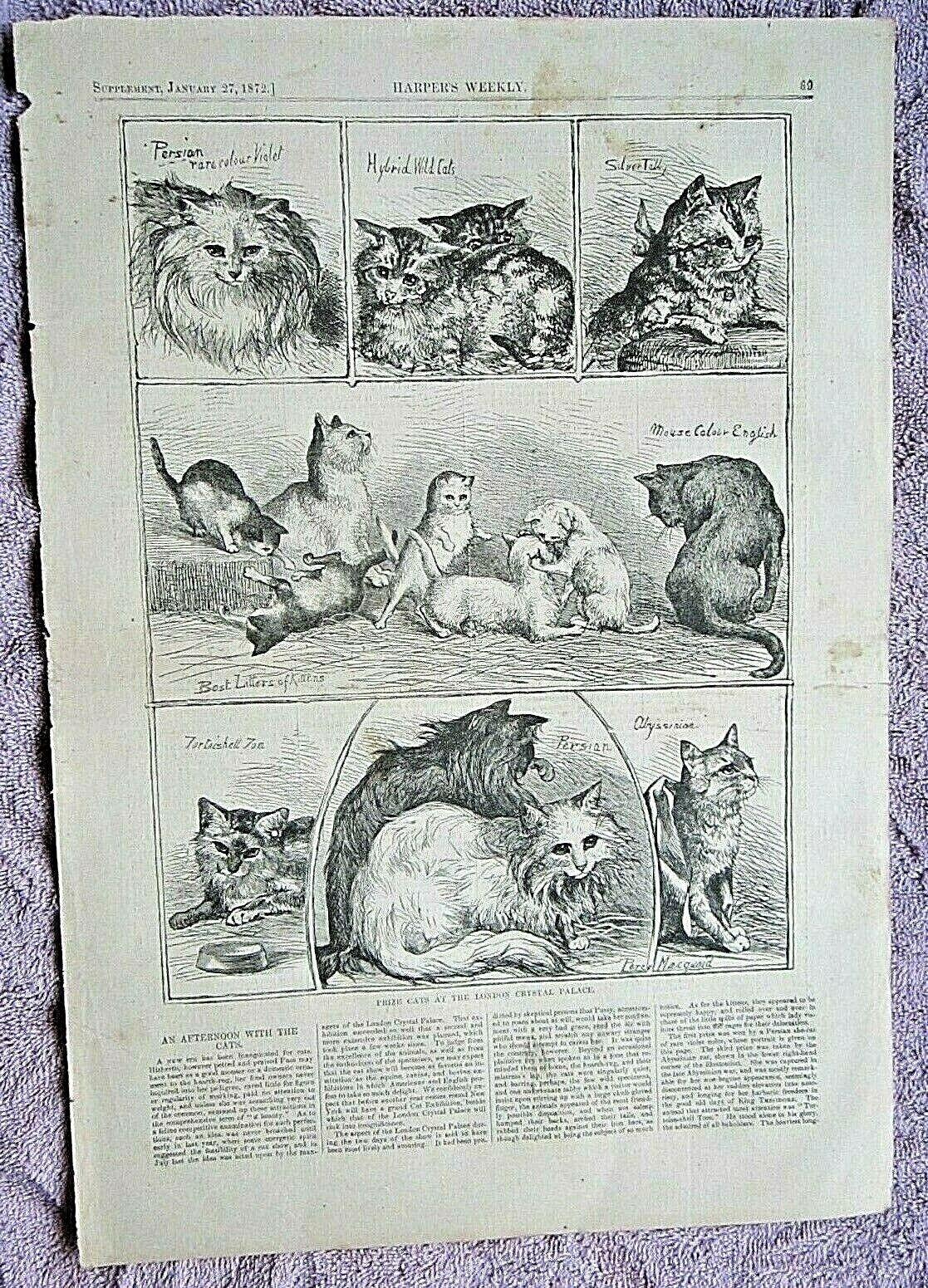 1872 ANTIQUE HARPER’S WEEKLY CAT PRINT EPHEMERA VICTORIAN WOODBLOCK ENGRAVING