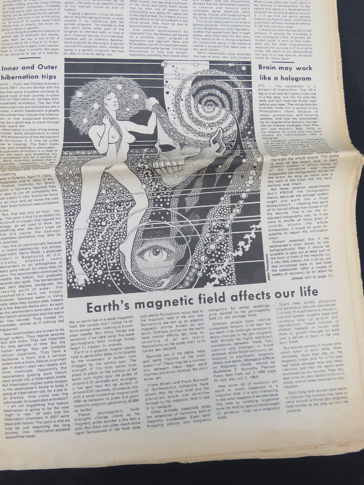 L.A. FREE PRESS UNDERGROUND NEWSPAPER Feb 23, 1973, Concert Ads Counter-Culture