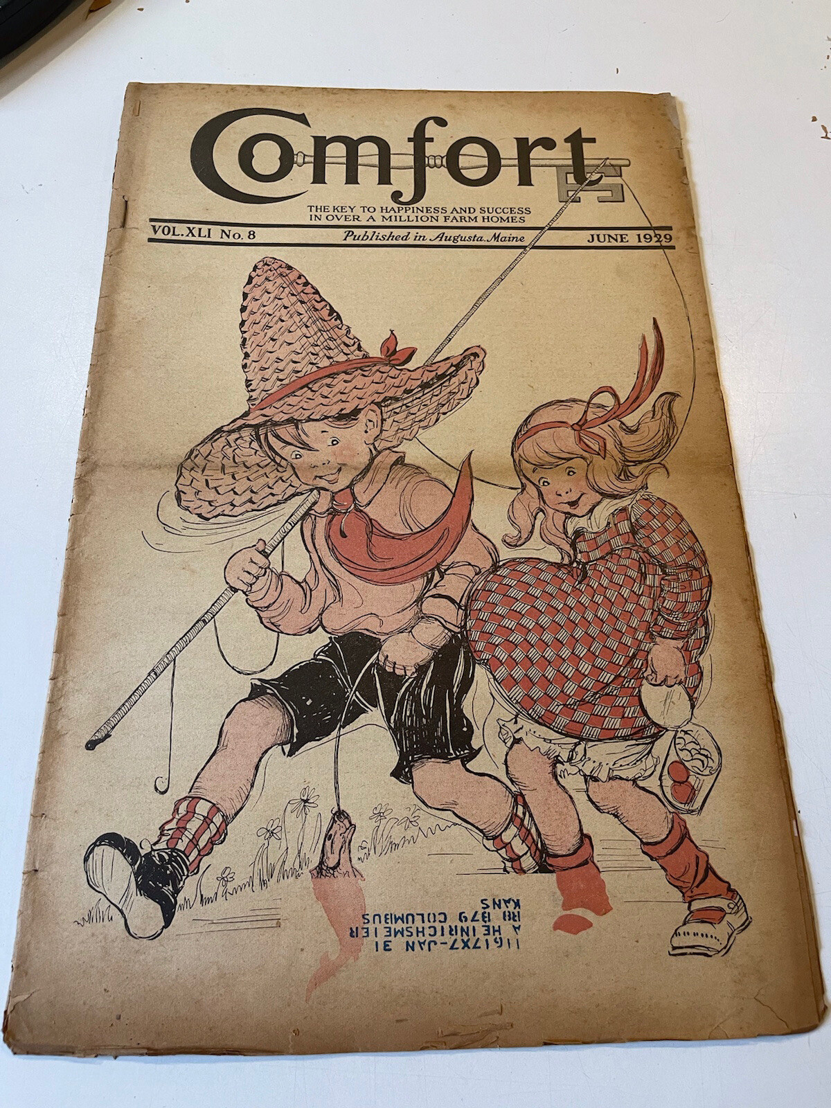 Vintage Comfort Newspaper – June 1929 – Augusta, Maine – Flappers Farms