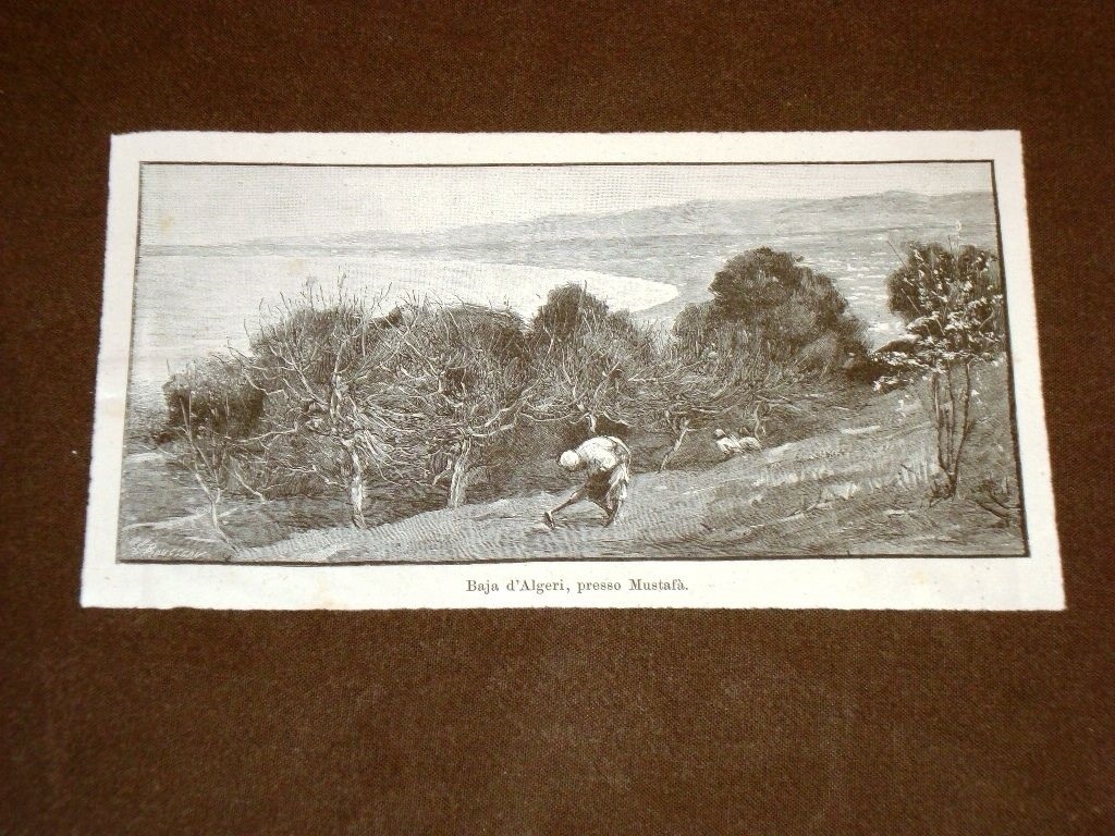 The Bay of Algiers in 1892 Near Mustafa Algeria