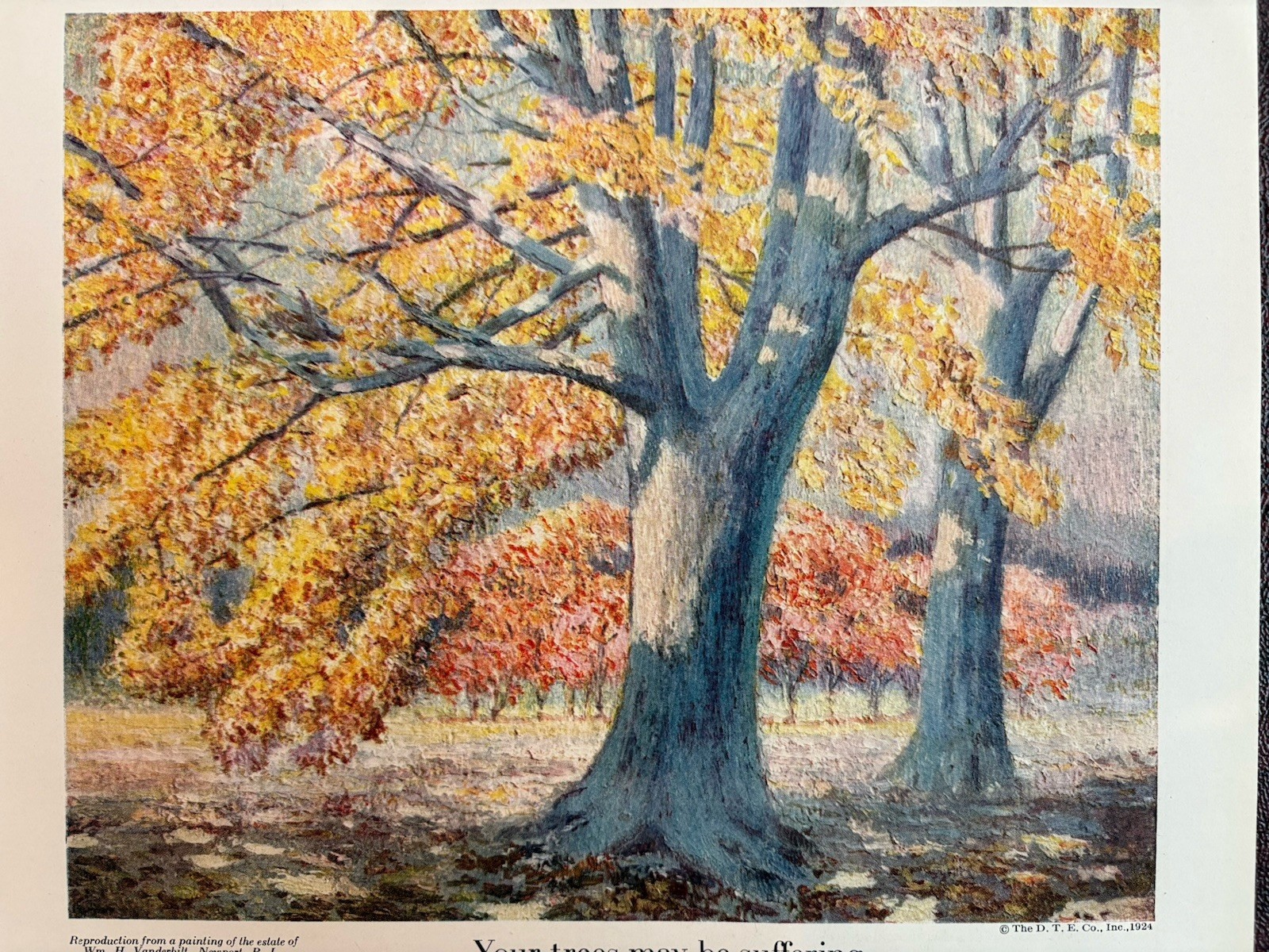 William H Vanderbilt Estate Newport Rhode Island Vintage Sigurd Skou Artist 1924