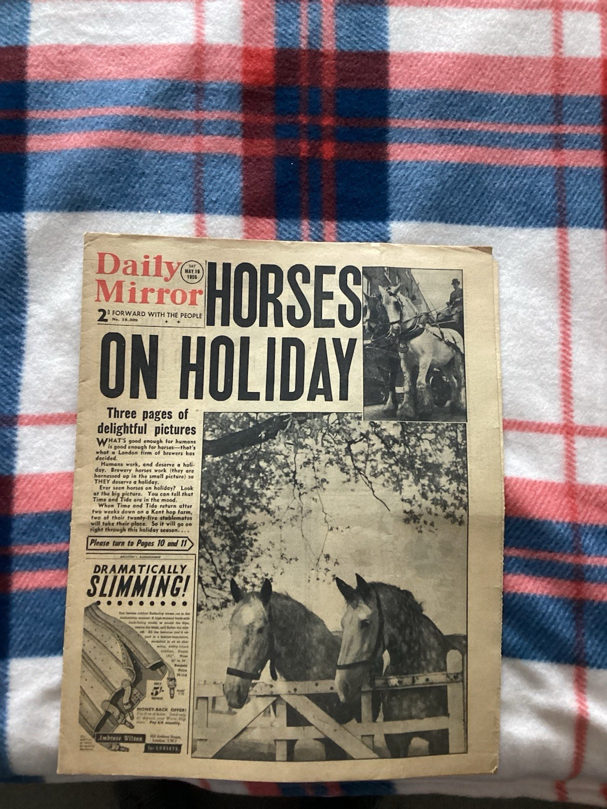 Horses On Holiday Mirror May 19 1956 Original Newspaper