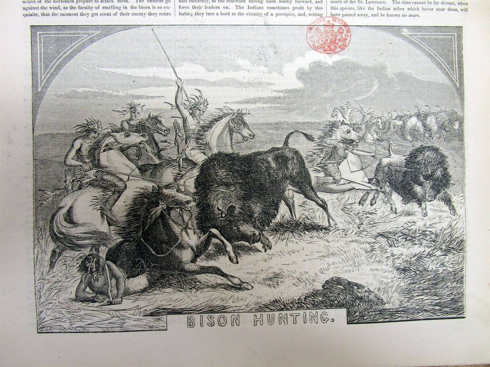 1854 illustrated newspaper wth engraving NATIVE AMERICAN INDIANS HUNTING BUFFALO