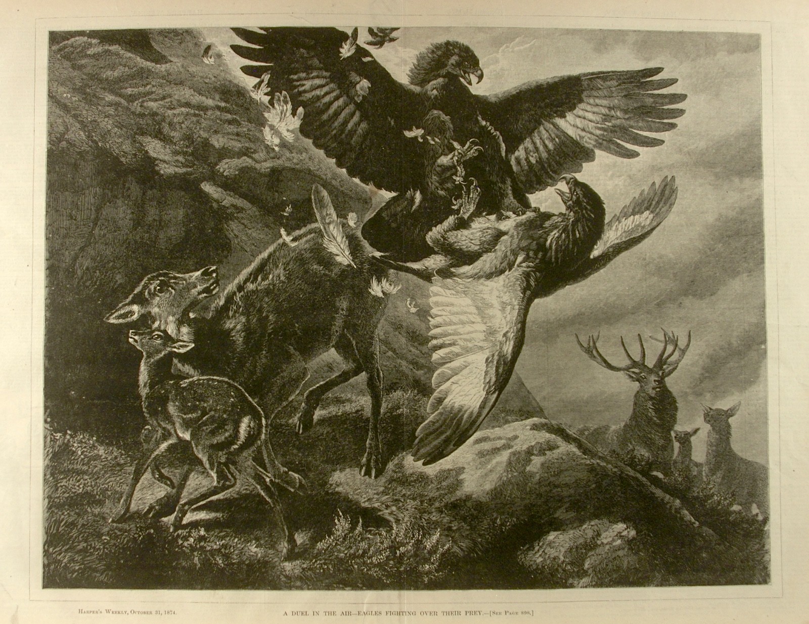 1874 WOODBLOCK PRINT16x21» Harper’s Weekly»Duel In The Air~Eagles Fighting» FINE