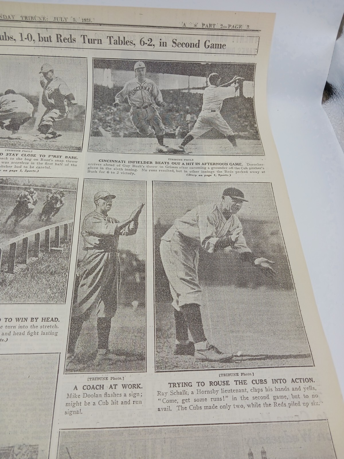 1931 Leo Durocher Charley Root Cincinnati Reds Tony Cuccinello Ray Schalk Sports