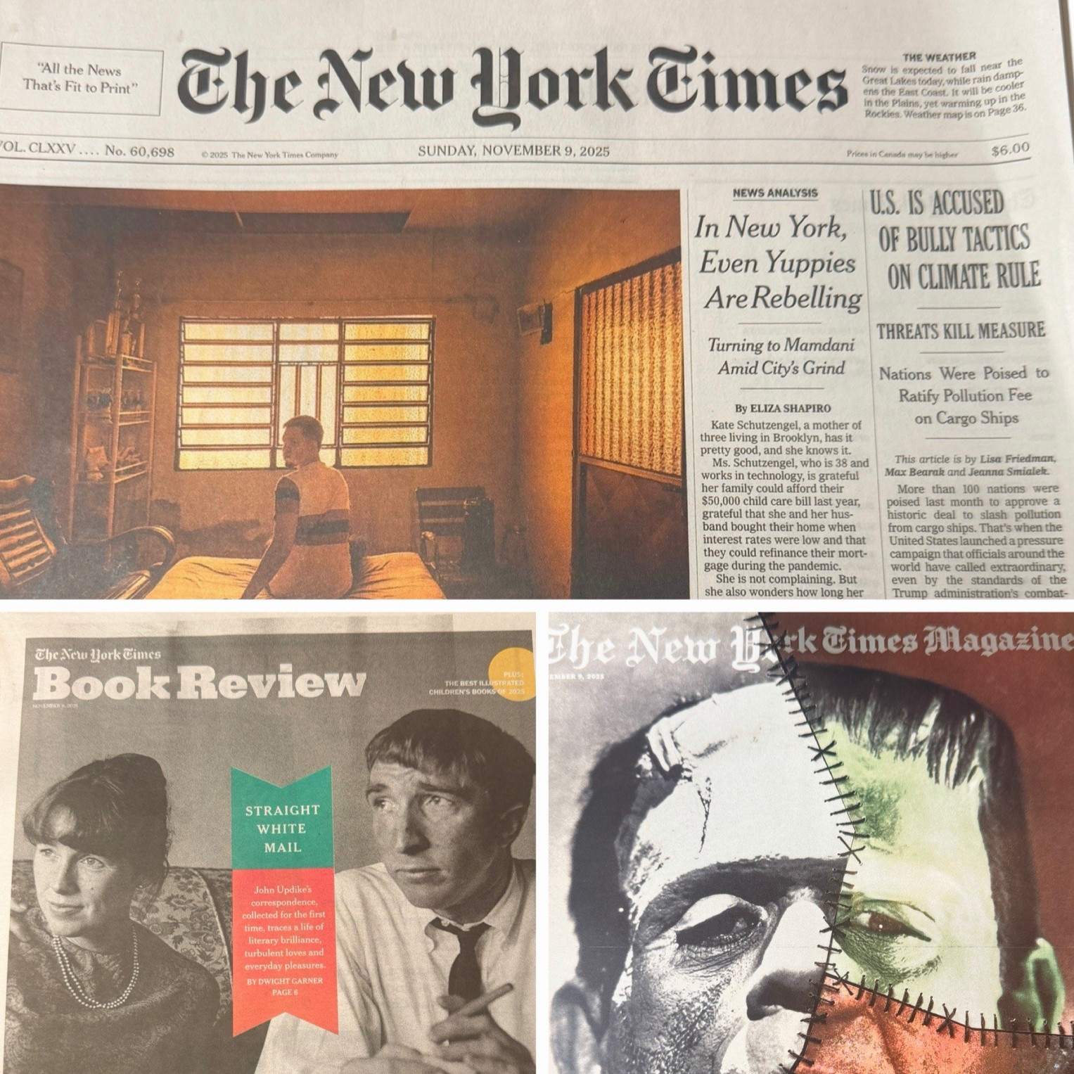 The New York Times Newspaper Sunday November 9 2025 Mag+Book Review COMPLETE ppr