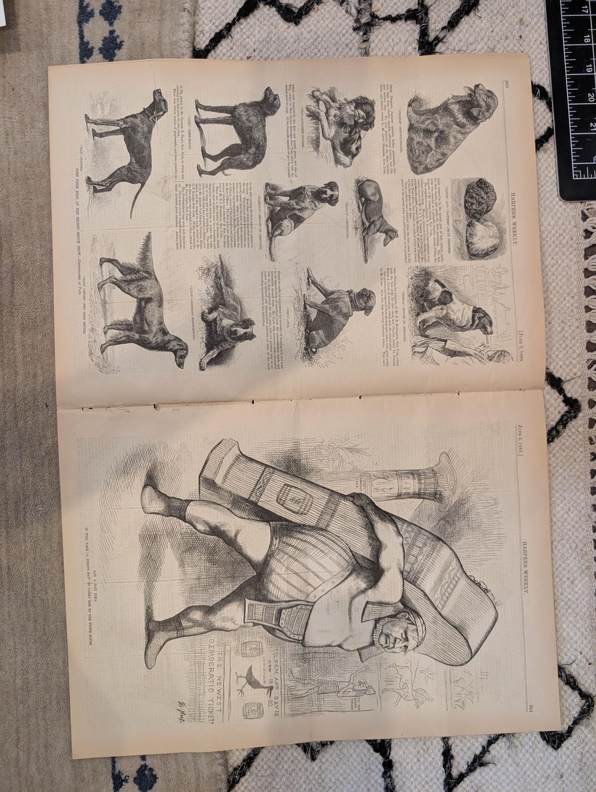 1880 Nast Plumed Knight, Shetland Islands, Milton PA Fire Harpers Weekly June 5