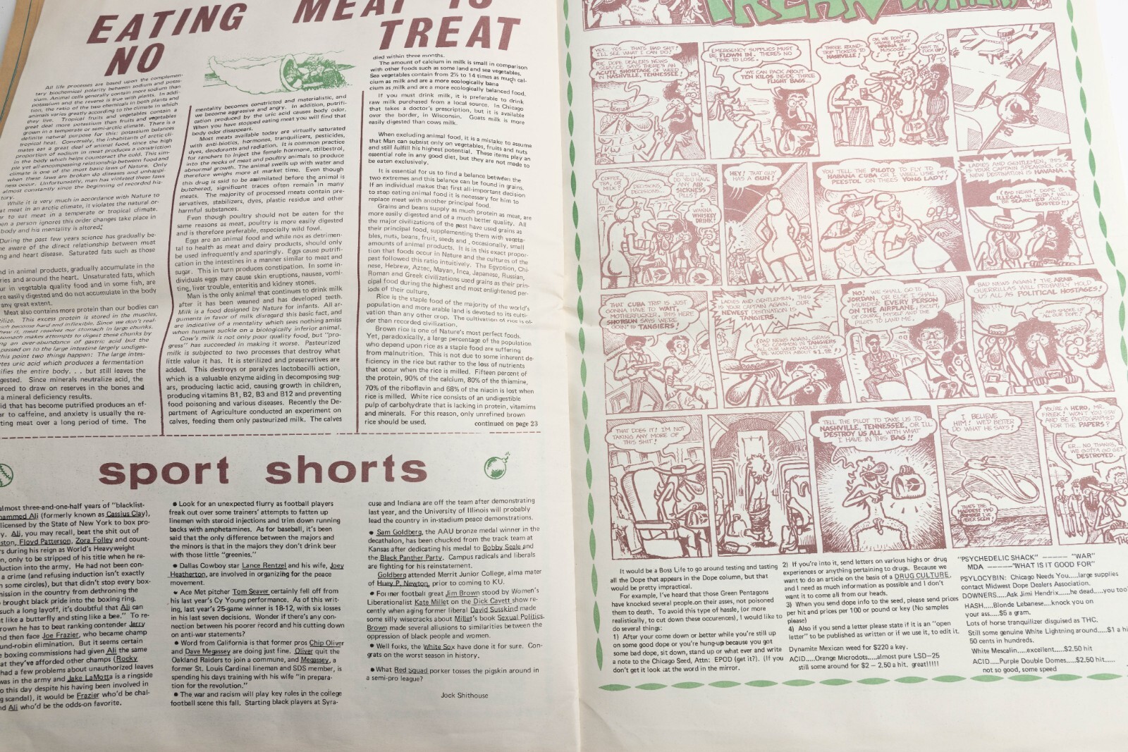 Chicago Seed Vol 5 Issue 12 Jimi Hendrix Centerfold Black Panther Party Comic