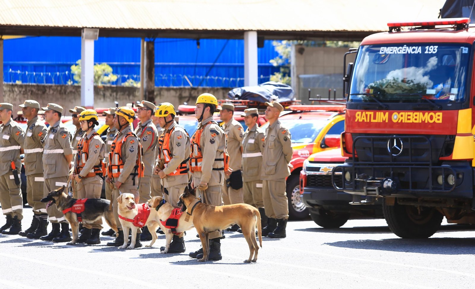Goiás 15