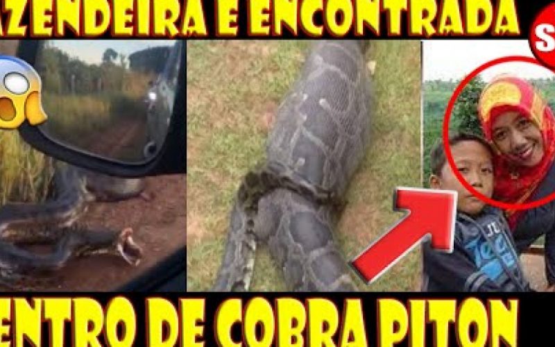 20210421210450_mulher-desaparecida-e-encontrada-dentro-de-cobra-piton
