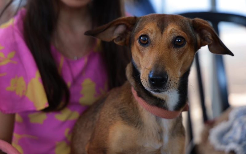 Aparecida de Goiânia