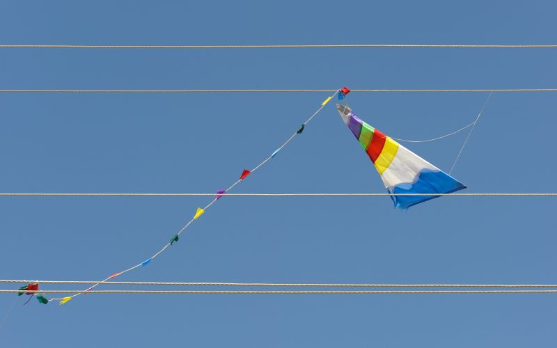 Kite on electric wire