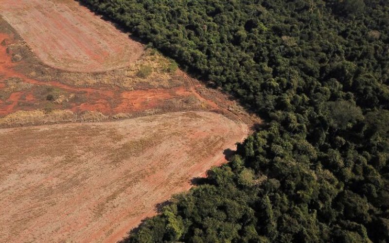 Desmatamento na fronteira entre a Amazônia e o Cerrado em Nova Xavantina, em Mato Grosso
28/07/2021
REUTERS/Amanda Perobelli
